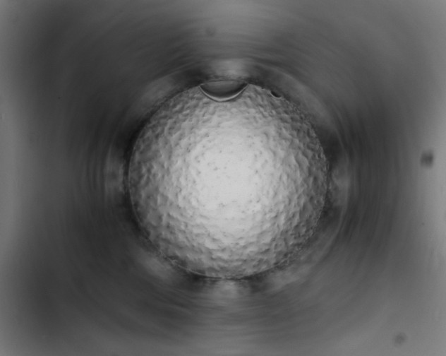 X0000103500330200809121746