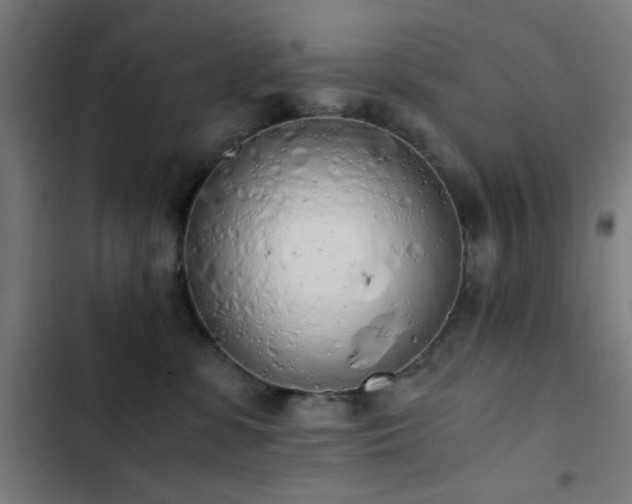 X0000103500331200809121746