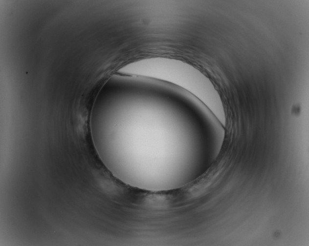 X0000103500332200809121746