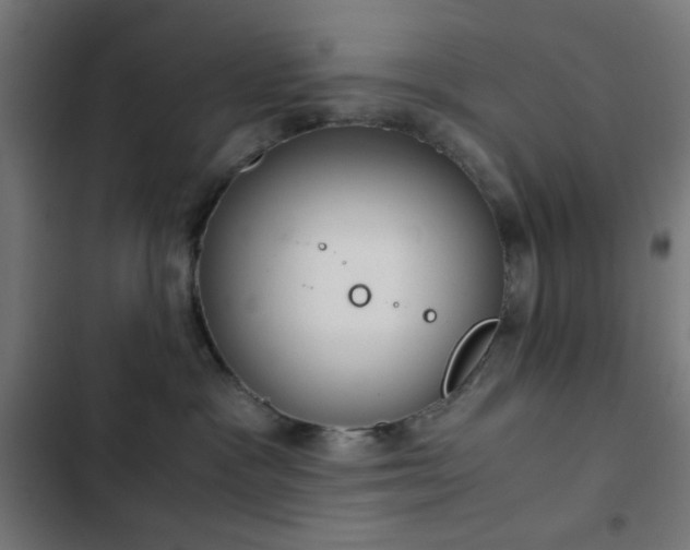 X0000103500333200809121746