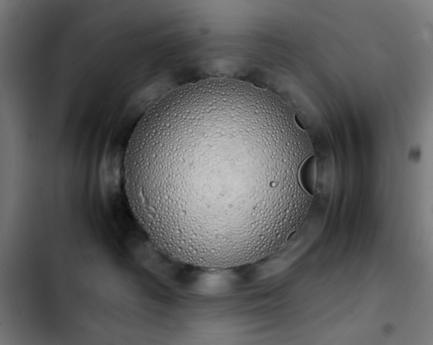 X0000103500334200809121745