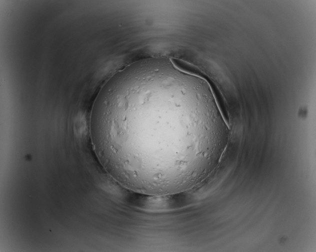 X0000103500335200809121745