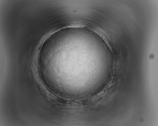 X0000103500337200809121744