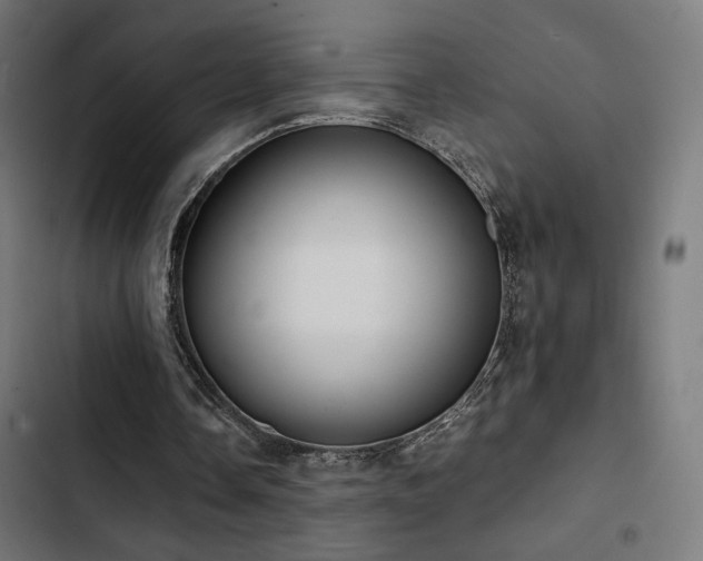 X0000103500338200809121744