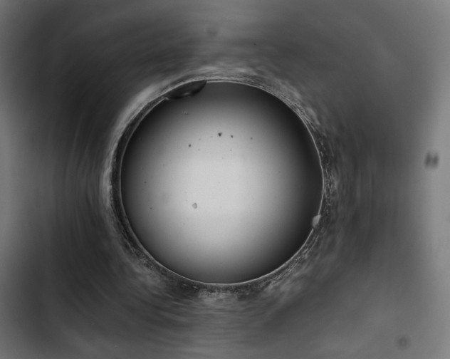 X0000103500340200809121744