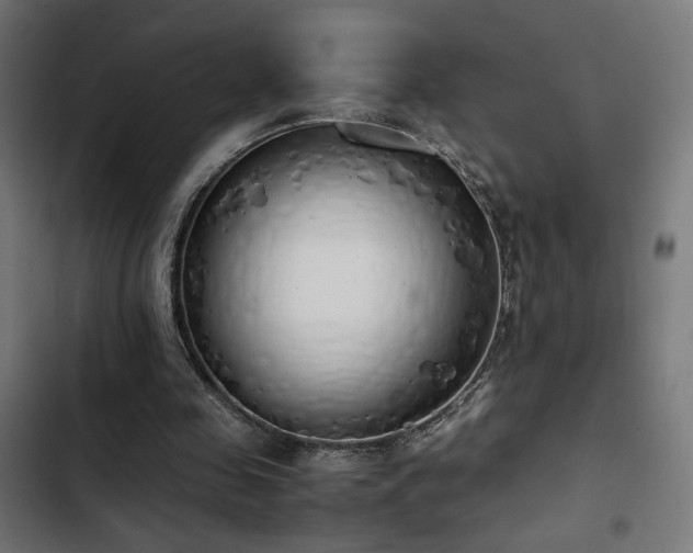 X0000103500341200809121744