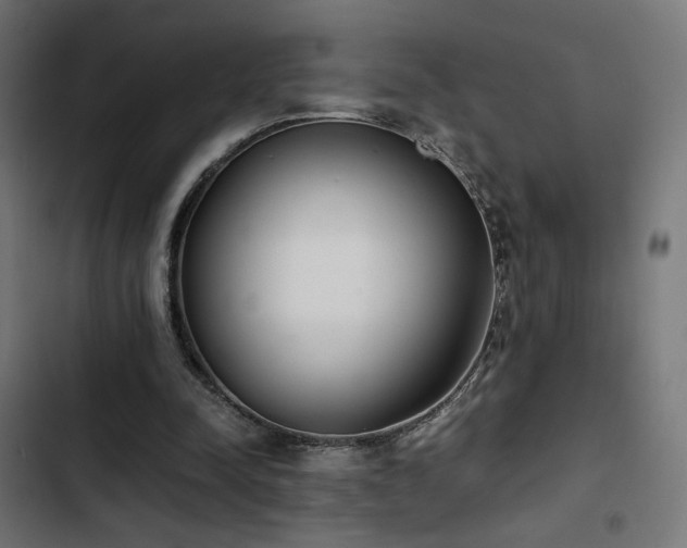 X0000103500342200809121744