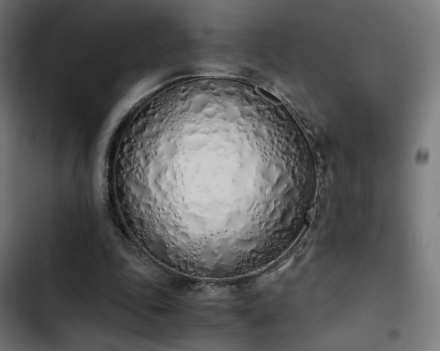 X0000103500343200809121744