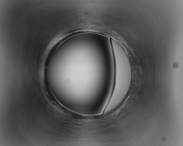 X0000103500344200809121744