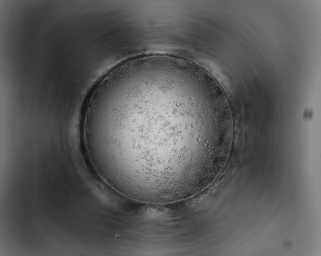 X0000103500346200809121744