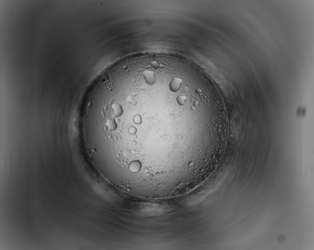 X0000103500347200809121744