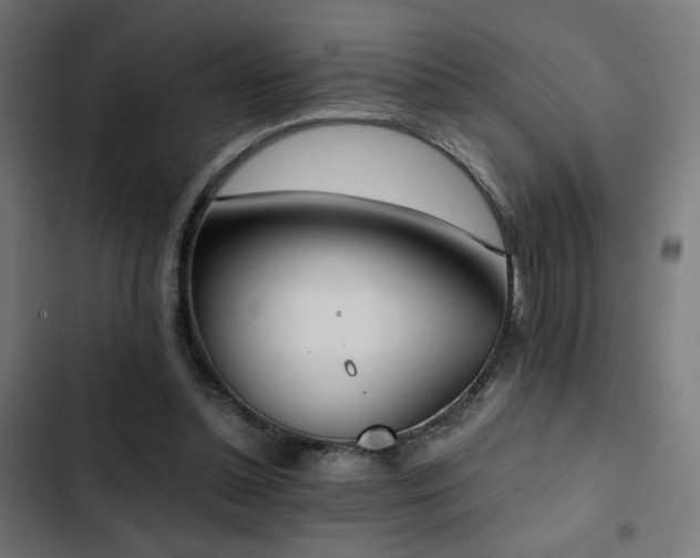 X0000103500348200809121744