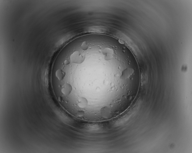 X0000103500349200809121744