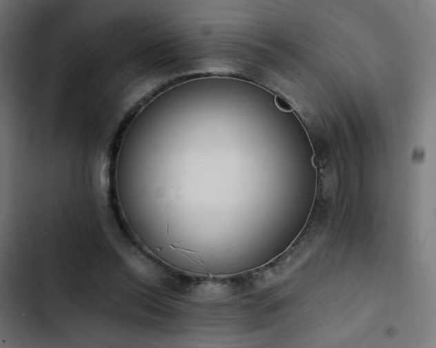 X0000103500350200809121745