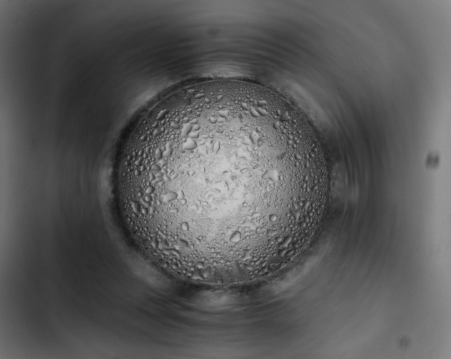 X0000103500351200809121745