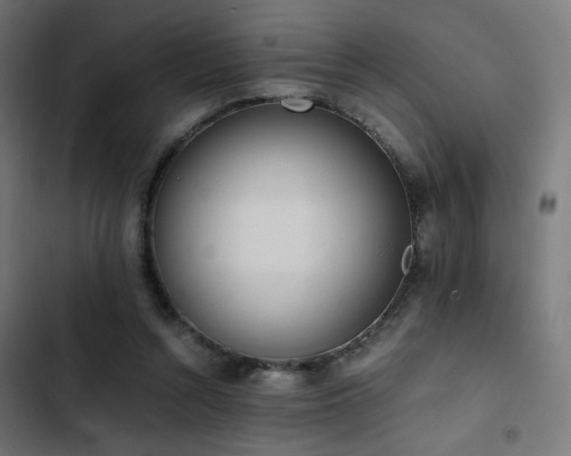 X0000103500352200809121745