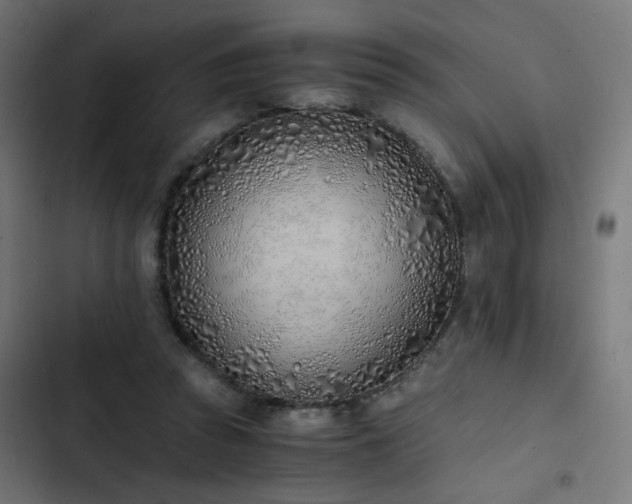 X0000103500353200809121745