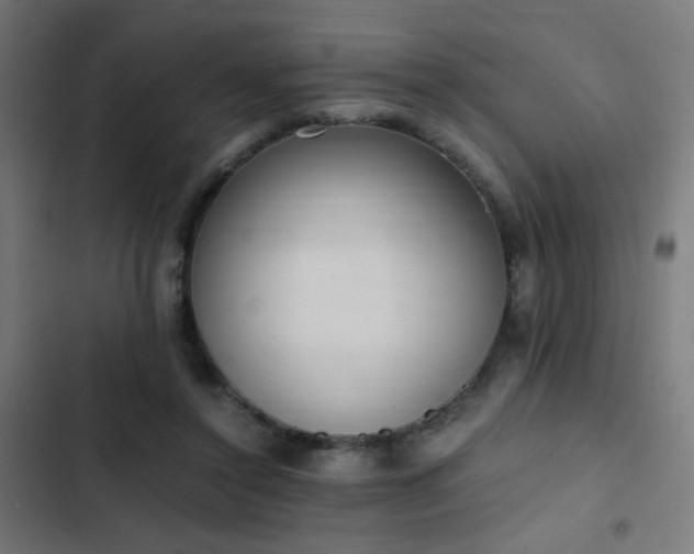 X0000103500356200809121745