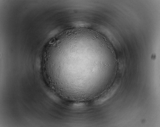 X0000103500357200809121745