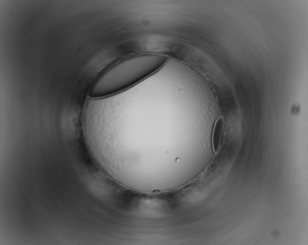 X0000103500360200809121745