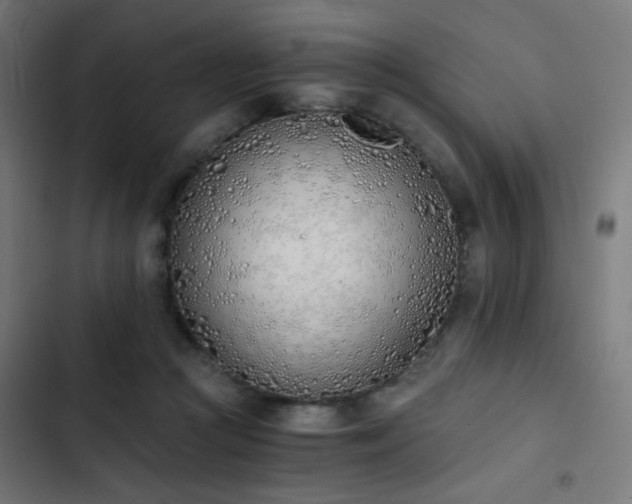 X0000103500361200809121745