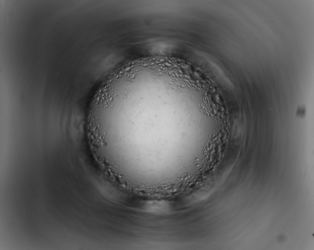 X0000103500363200809121745