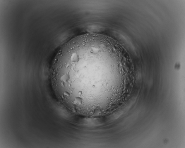 X0000103500367200809121745