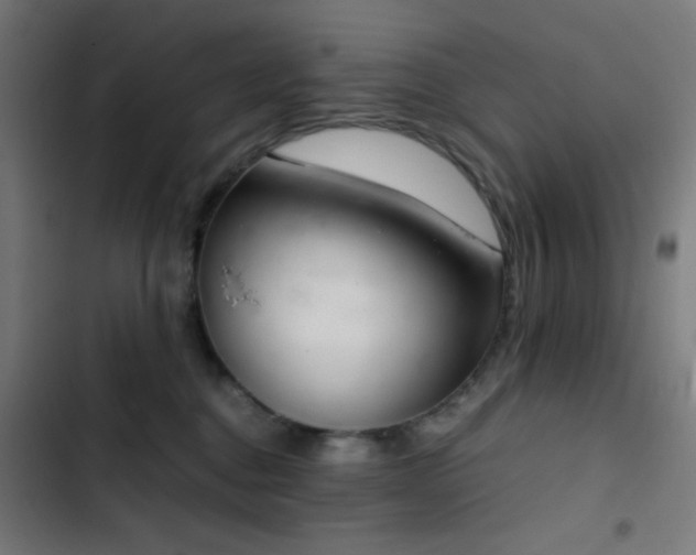 X0000103500376200809121745