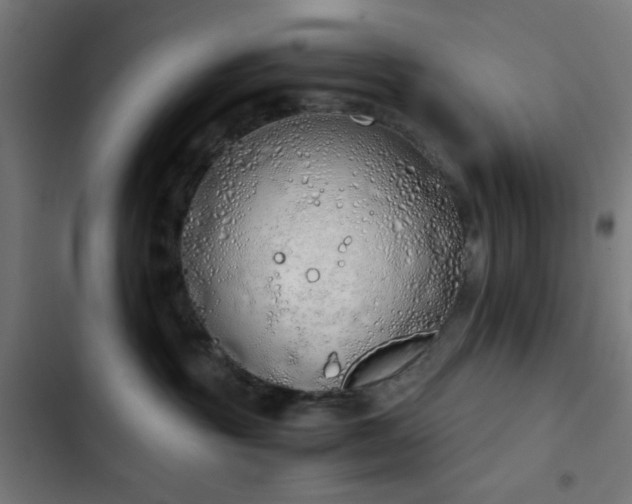 X0000103500381200809121745