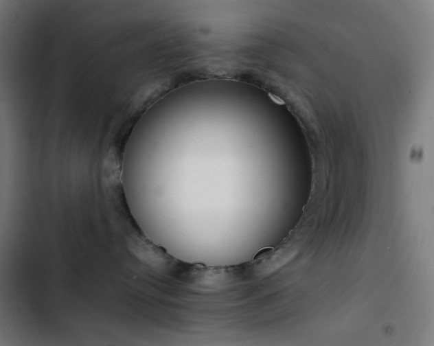 X0000103500384200809121745