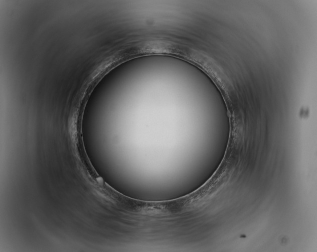 X0000103500386200809121744