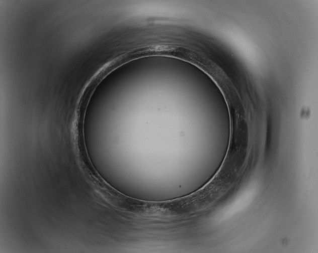 X0000103500387200809121744