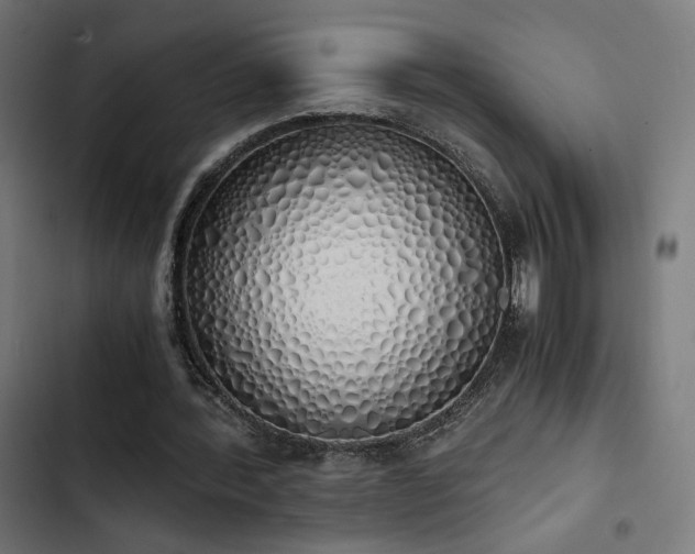 X0000103500388200809121744