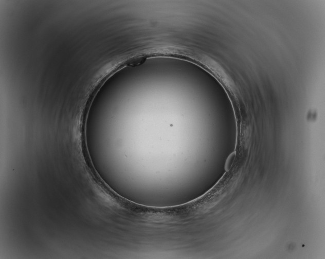 X0000103500389200809121744