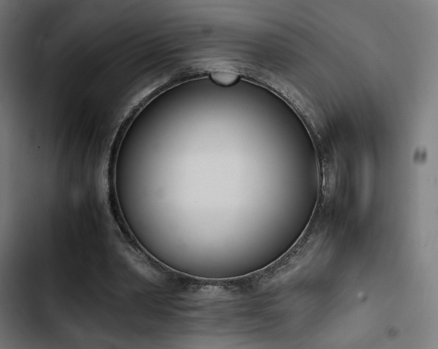 X0000103500390200809121744