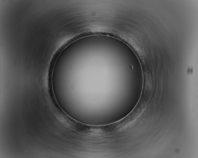 X0000103500391200809121744