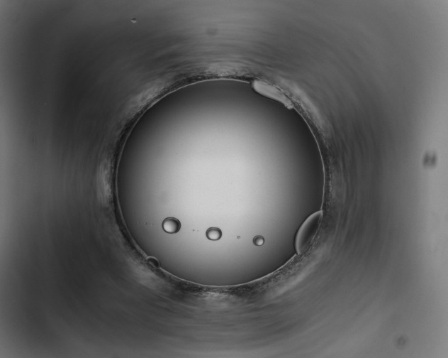 X0000103500393200809121744