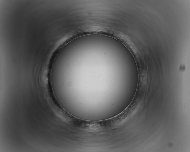 X0000103500395200809121744