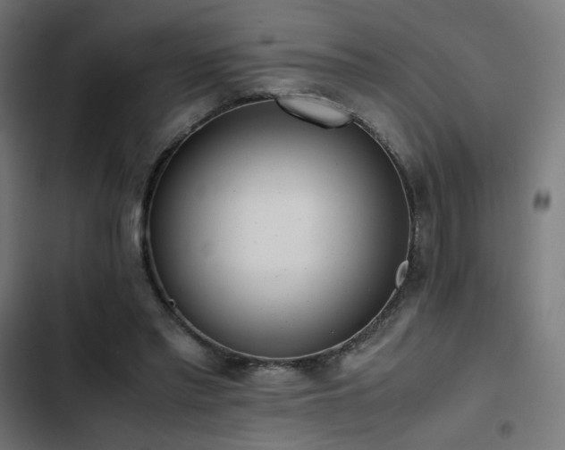 X0000103500397200809121744