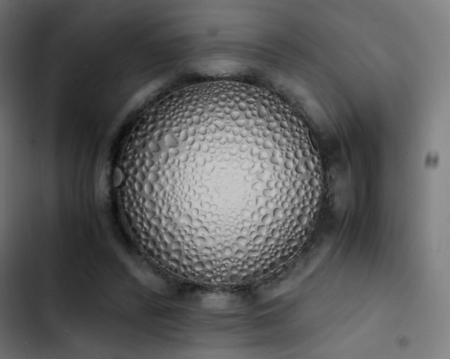 X0000103500400200809121744