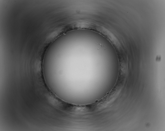 X0000103500401200809121744