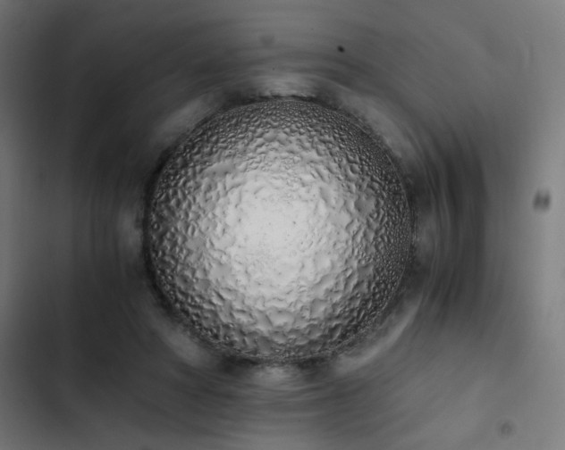 X0000103500402200809121744