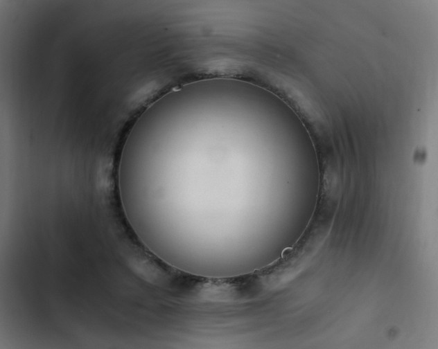 X0000103500403200809121744