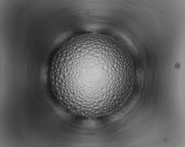 X0000103500404200809121744