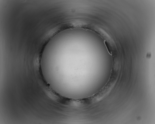 X0000103500405200809121744