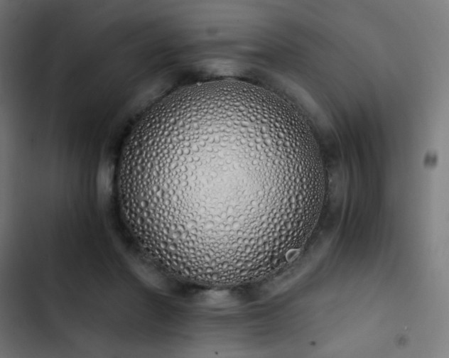 X0000103500406200809121744