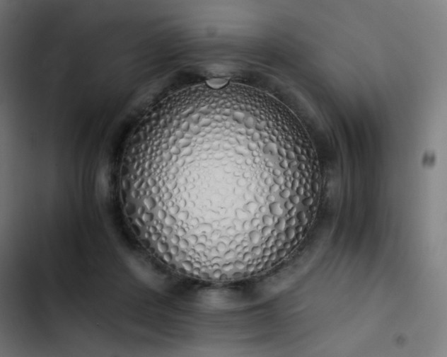 X0000103500408200809121744