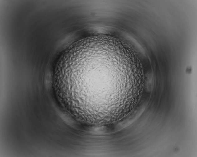 X0000103500410200809121744