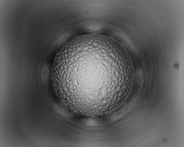 X0000103500412200809121744