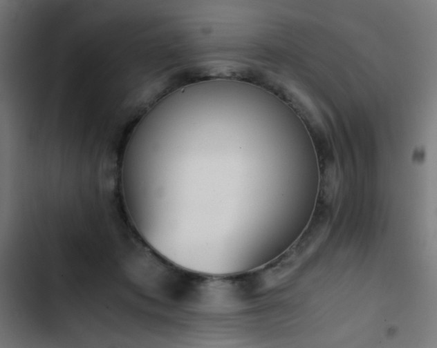 X0000103500413200809121744